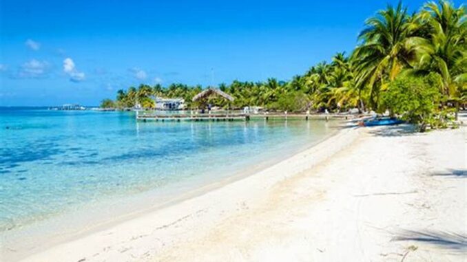 belize real estate