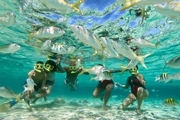 holchan-marine-reserve-san-pedro-belize