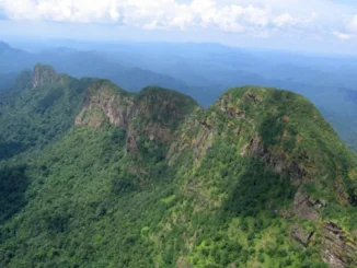 The Maya Mountains of Belize