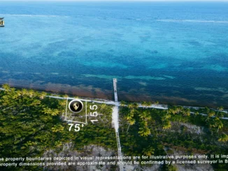 Ambergris Caye land for sale with reef views