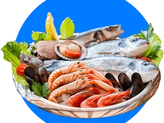 Guide to seafood in Belize