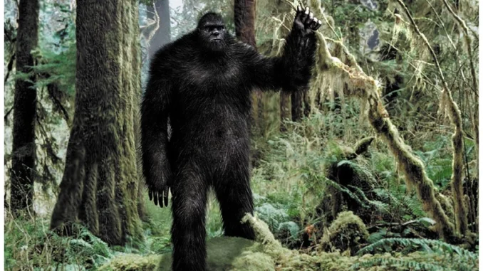 Illustration of the Sisimito in Belize lurking in a dense tropical jungle, based on Belizean folklore