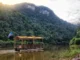 Canoe on the Macal River surrounded by tropical jungle during river expeditions in Belize