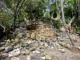 Exploring the Marco Gonzalez Maya Site in Ambergris Caye