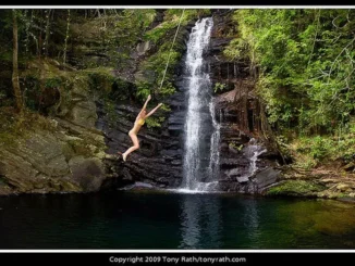 Mayan King Waterfall in Belize surrounded by lush green rainforest
